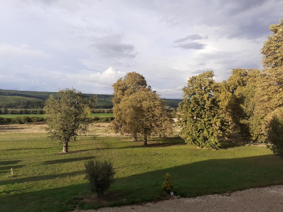 Bed and Breakfast Domaine-De-La-Borde A Epernay Mardeuil Exterior foto